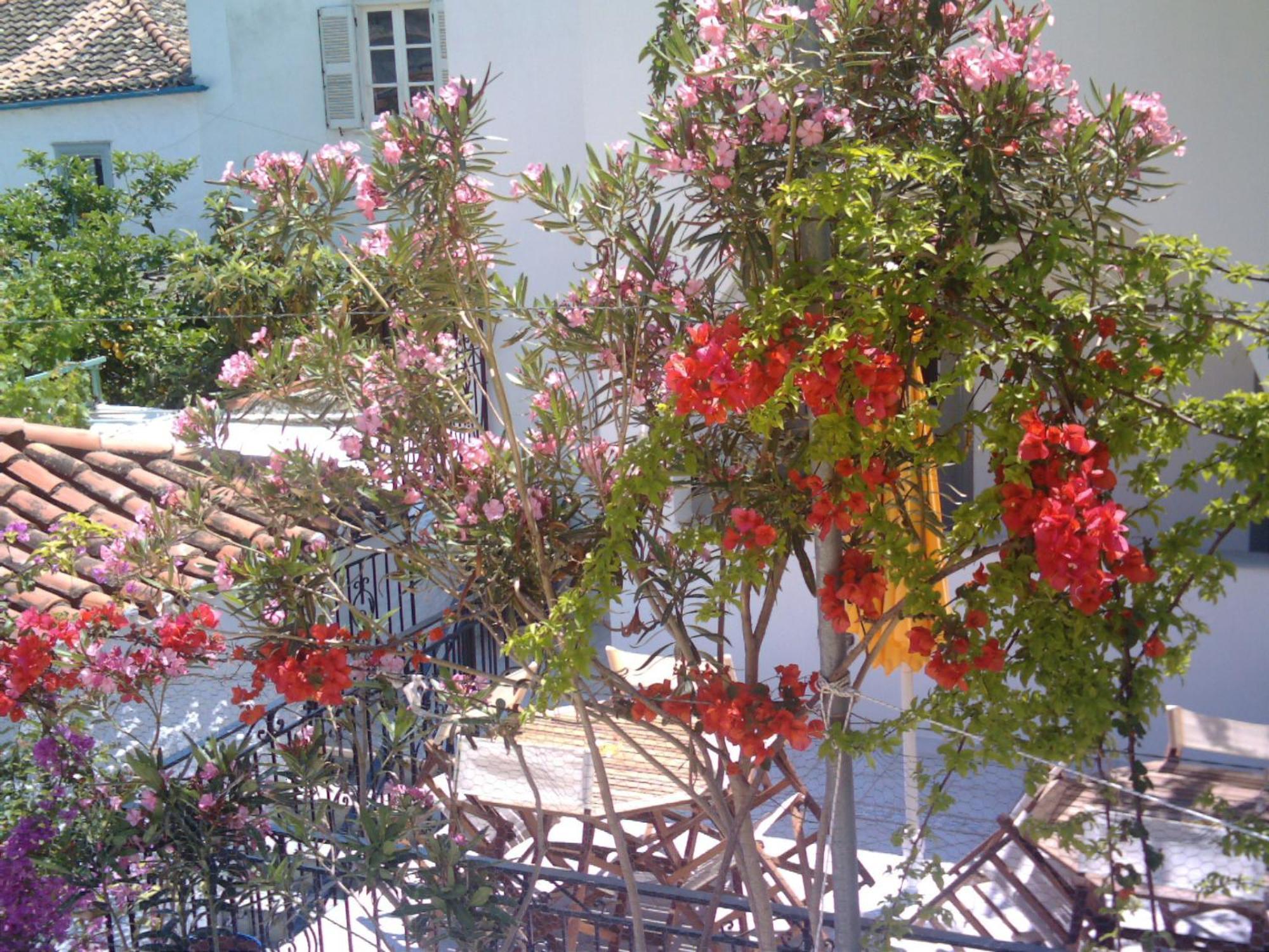 Alkionides Hydra Hotel ภายนอก รูปภาพ